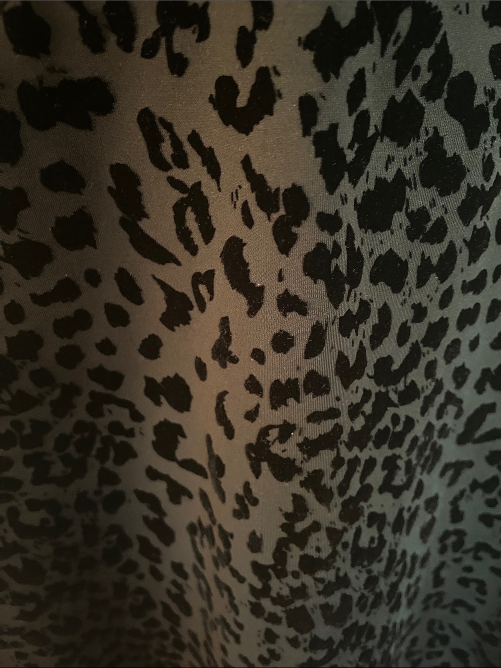 Karl Lagerfeld Velvet Leopard Fit & Flare Dress - Picture 3 of 9